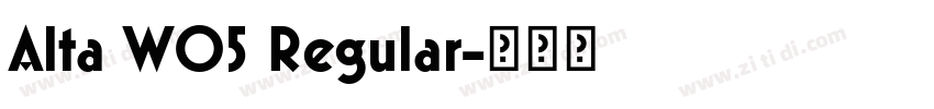 Alta W05 Regular字体转换